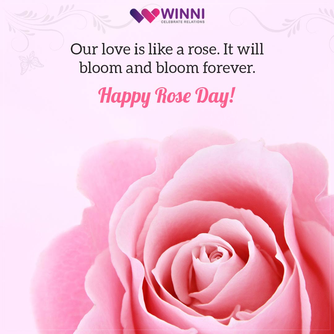 Happy Rose Day Greetings & Quotes | Winni